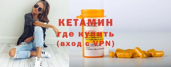 индика Гусиноозёрск