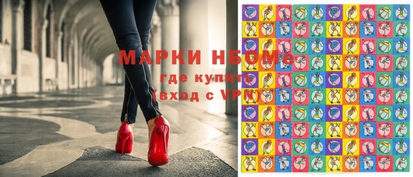 индика Гусиноозёрск