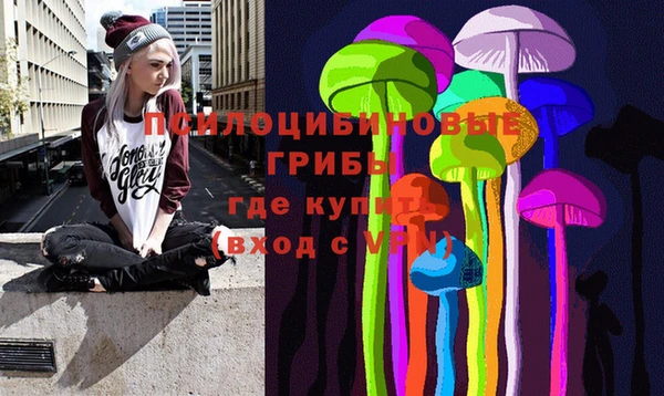 индика Гусиноозёрск