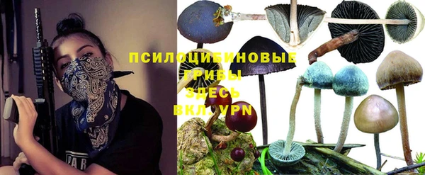 герыч Новодвинск