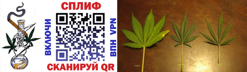 где купить наркоту  Щучье  Бошки Шишки White Widow 